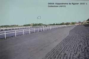 Oran- Le figuier 27a